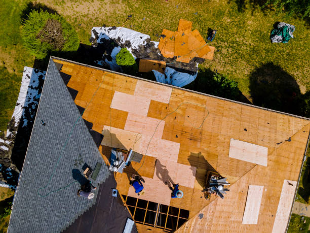 Best Commercial Roofing Services  in Bradley, IL